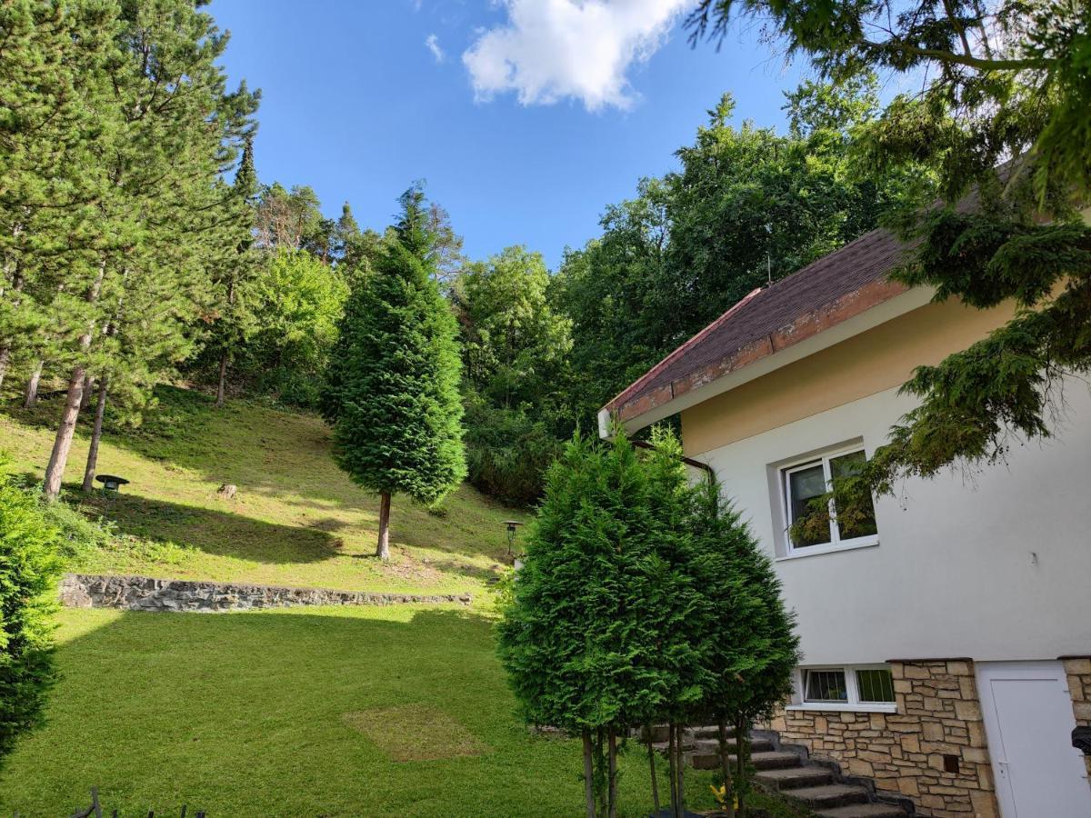 Vila Prag Exteriér fotografie